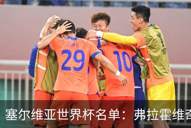 塞尔维亚世界杯名单：弗拉霍维奇领衔 古德利在列